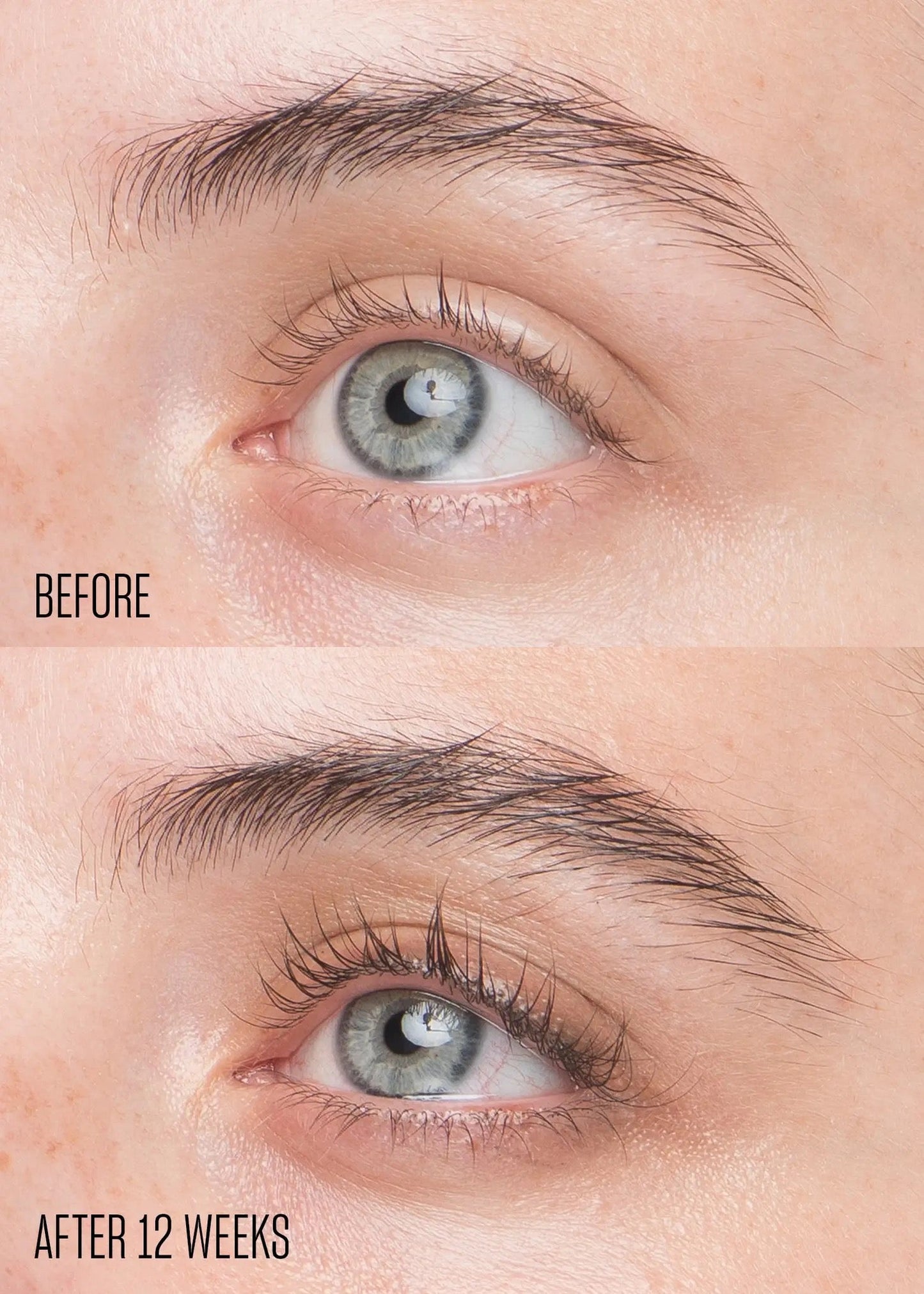 Babe Lash Essential Serum - Lazy Daisy Boutique