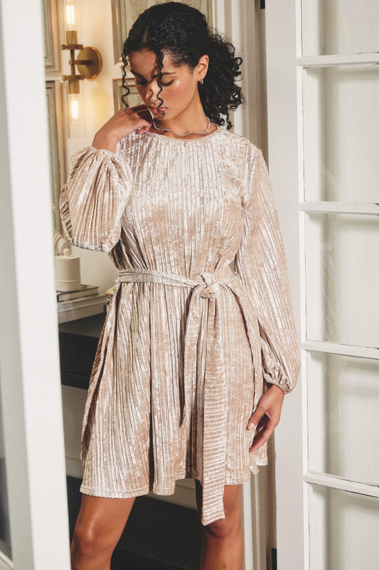 The Velvet Perfect Dress