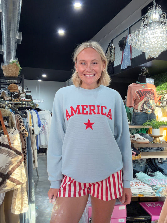 AMERICA  Graphic Top